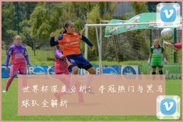 世界杯深度分析：夺冠热门与黑马球队全解析